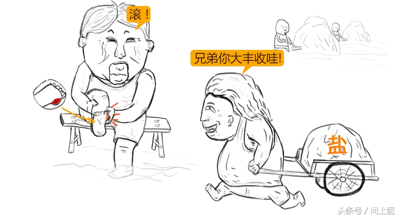 为什么痛风都在脚趾头,痛风形成过程漫画