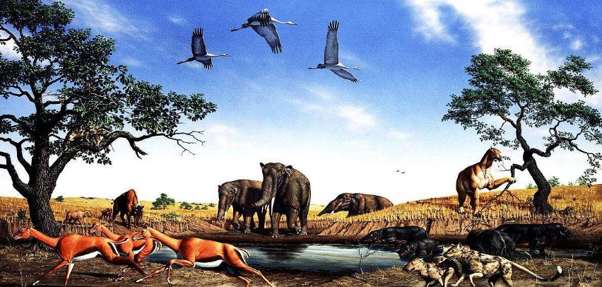 人类把自己当成万物之灵,失去人类的地球将会有什么改变