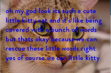 盘点一个既实用又好用的网站,有哪些既冷门又实用的网站