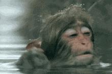 想要治疗遗传性脱发,原来还是要从这点入手……