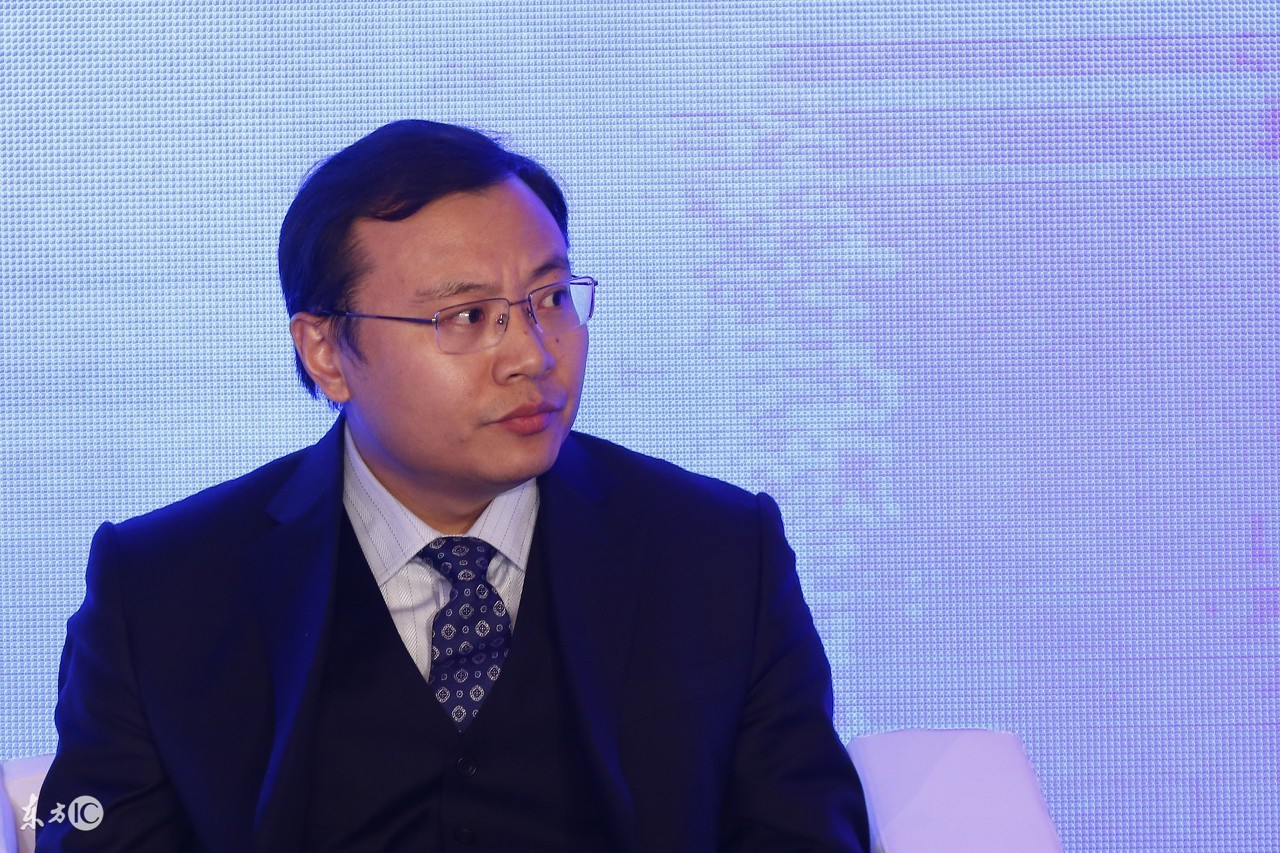 李大霄怎样看2019年股市,李大霄任泽平最新股评