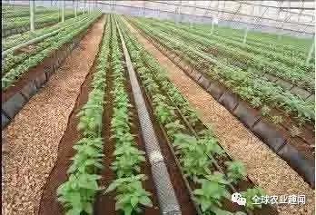 各种农机大盘点(2),你认识几种?