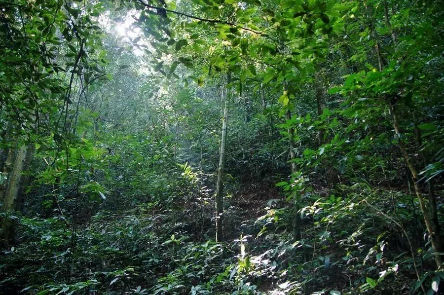 国庆节成都五日游攻略,元旦成都出发两天一夜旅游攻略