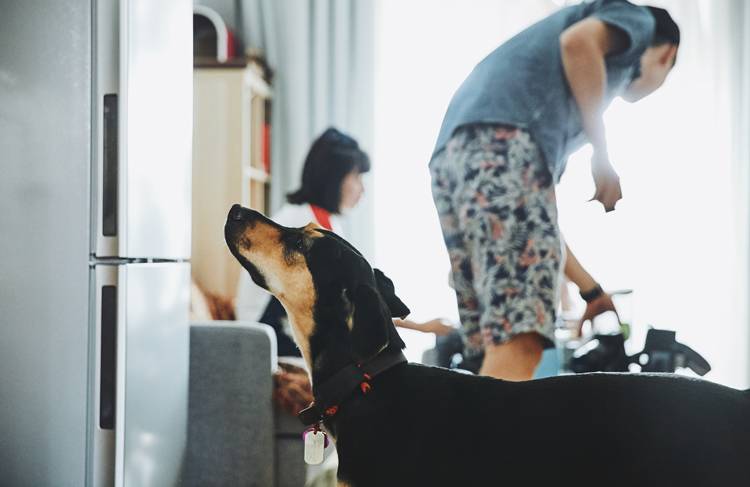 “列车运行前方:龙车站”我和TA打开了意外之门