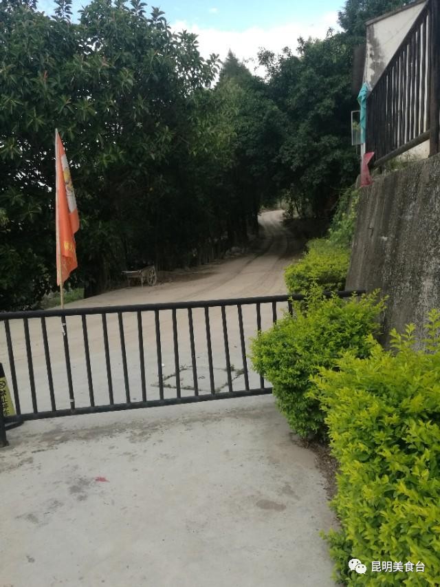 云南最神秘的六个野温泉，峡谷弥漫雾气小鱼咬脚，车底盘常常被刮