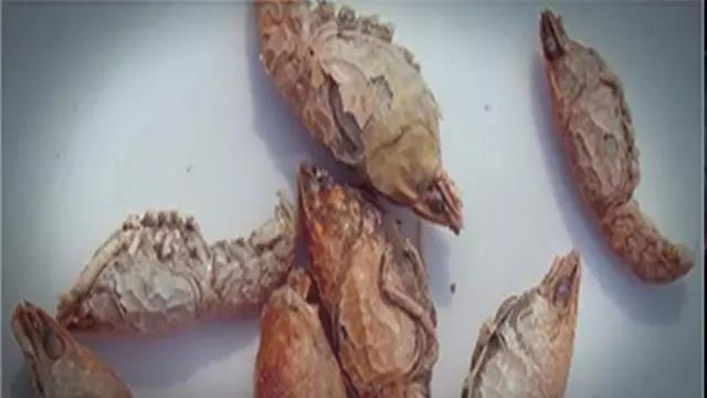 小龙虾的种类及吃法,小龙虾的100种神仙吃法图片