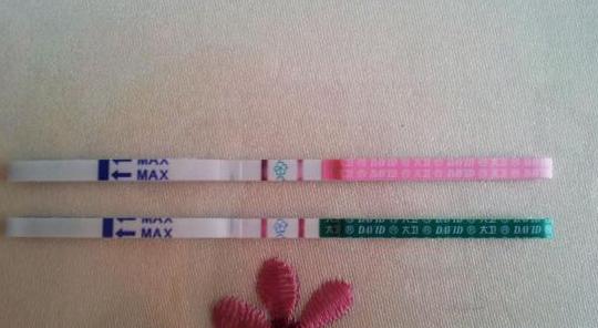 女性做试管婴儿全过程,女人做试管婴儿痛苦电视剧