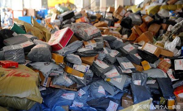 美女养泰迪连续三月收到宠物用品快递,报警调查结果让她哭笑不得