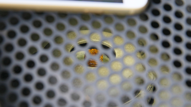 翼虎的10大忠告,翼虎详细介绍