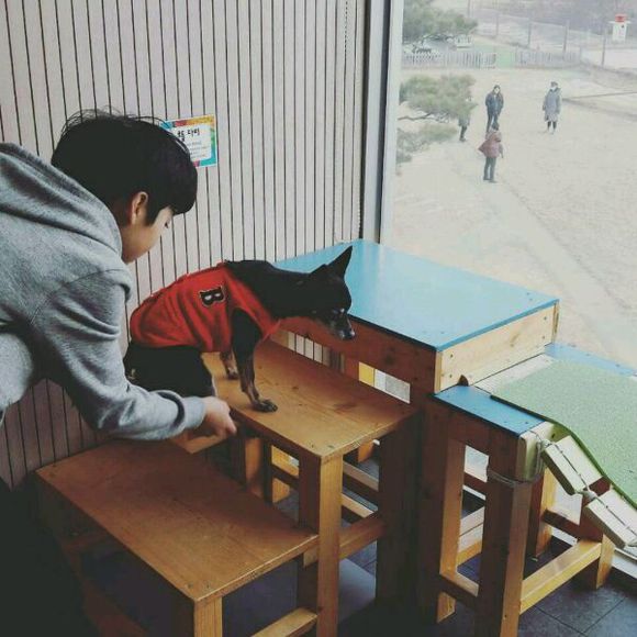 《showmethemoney6》赵宇灿丨十三岁的开挂人生!