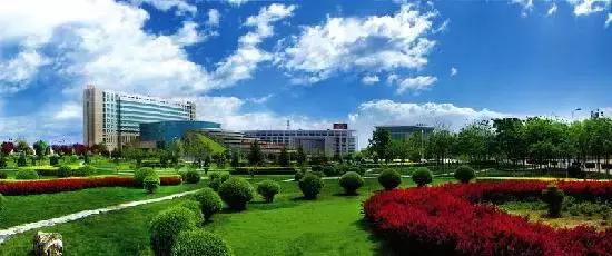 王征兵农民,王征兵安庆