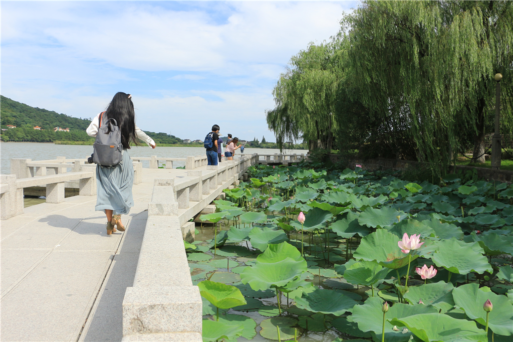 品山水美景房子,品农家菜