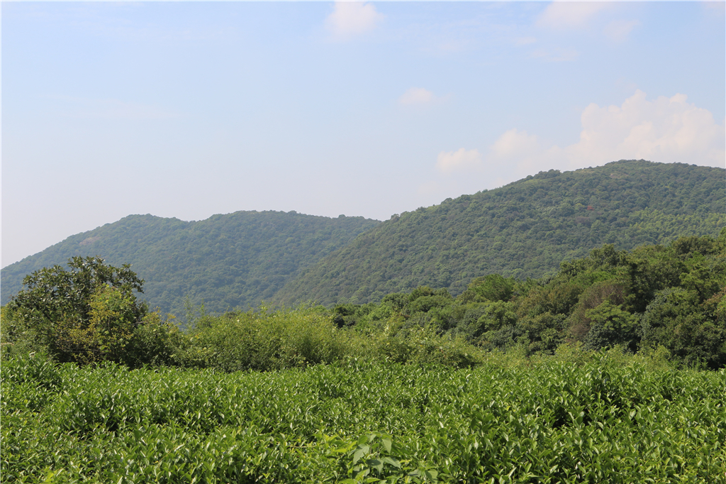 品山水美景房子,品农家菜