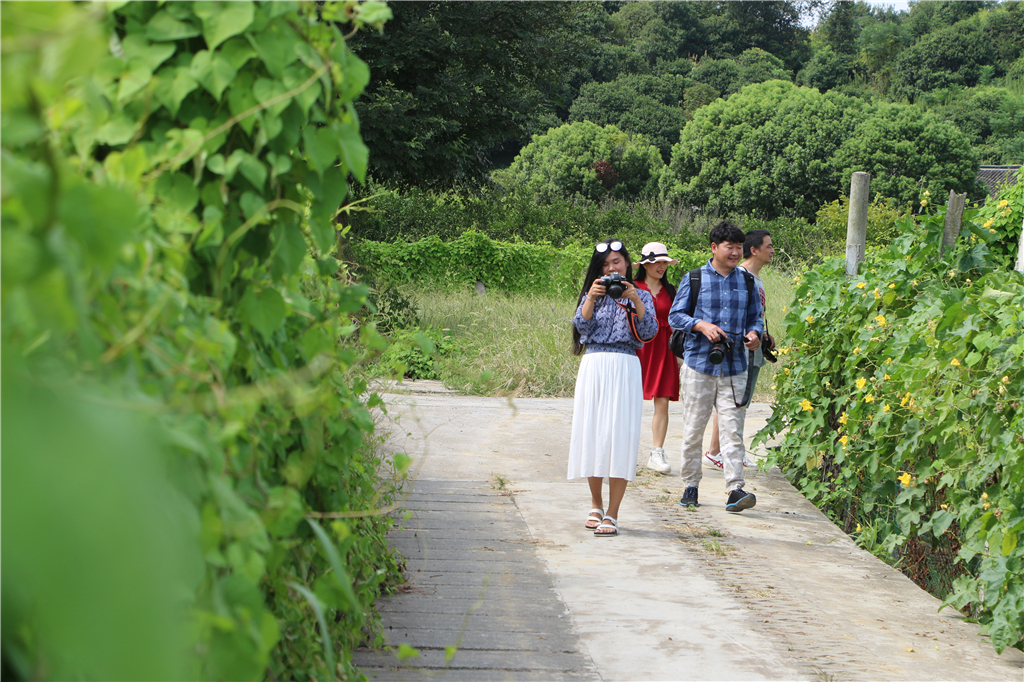 品山水美景房子,品农家菜