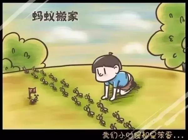 在户外要怎么注意红火蚁,高度警惕红火蚁