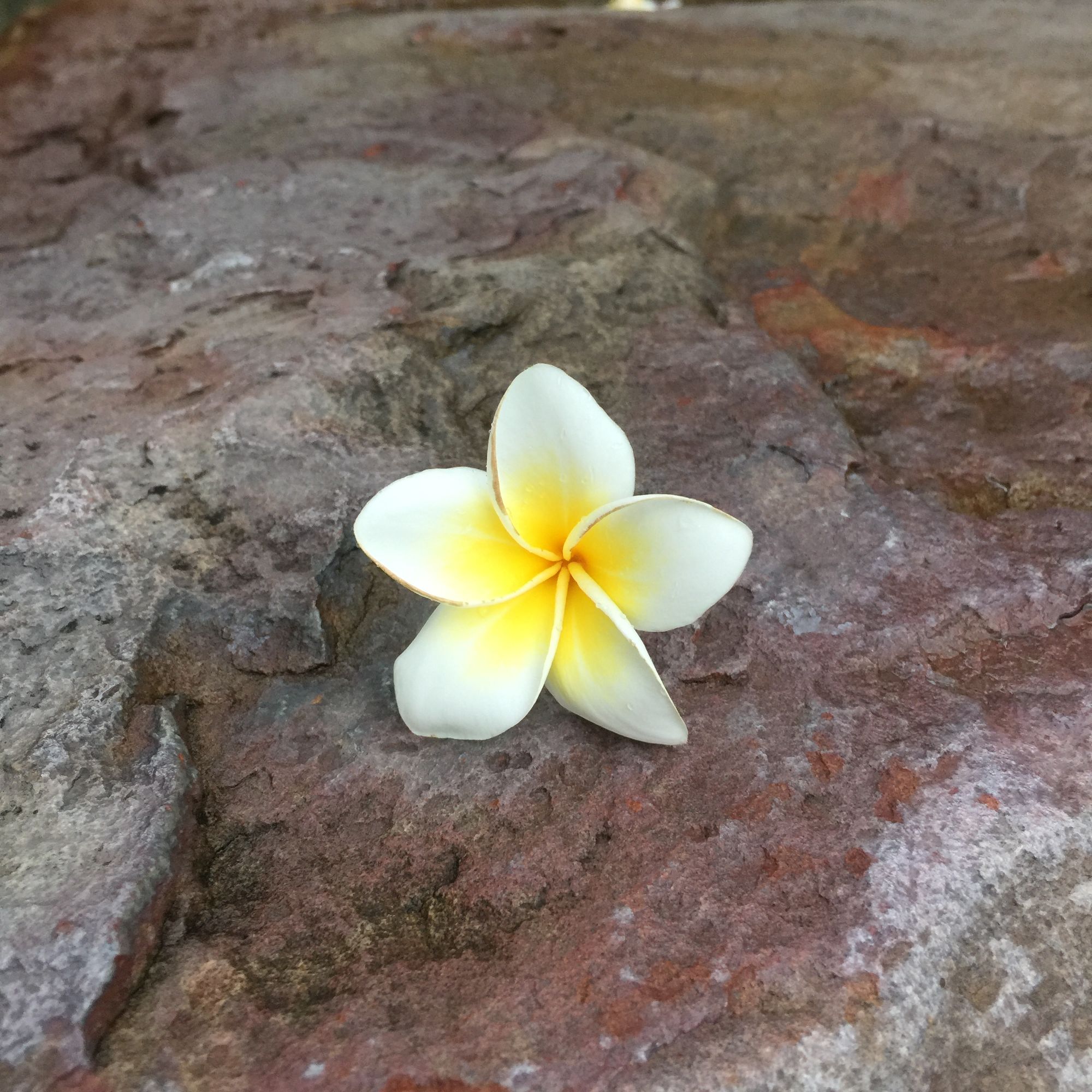 十一月份普吉岛,十一假期去泰国