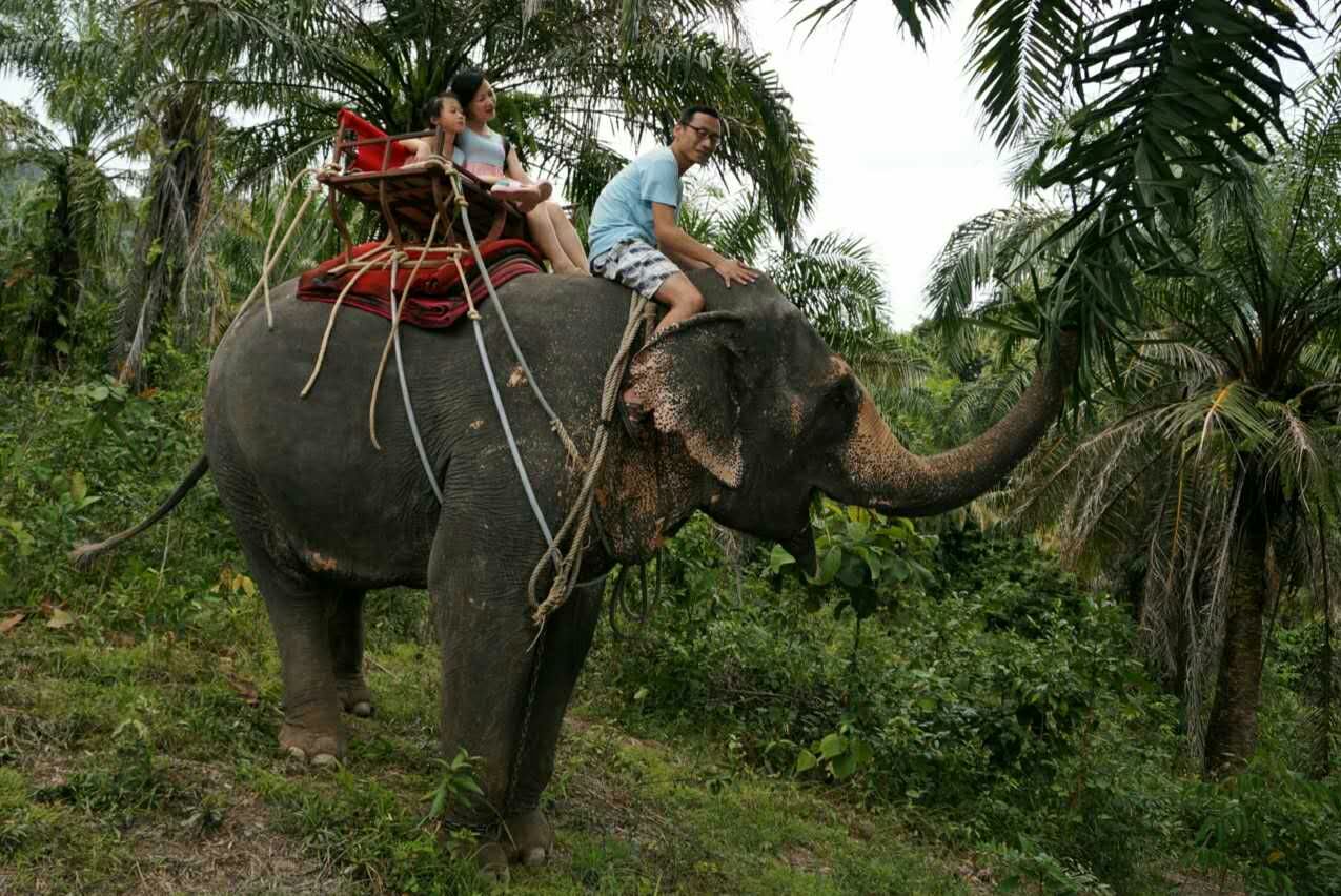 泰国甲米酒店旅游攻略,泰国甲米旅游详细攻略