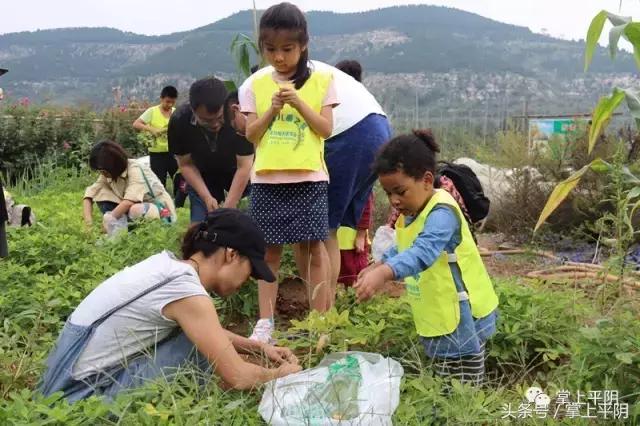 平阴新闻｜群众选房搬新居；首届林果采摘节；心理协会公益讲座