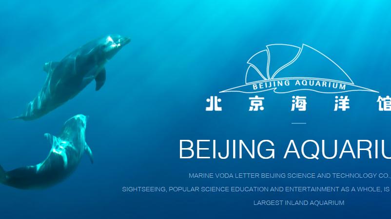 北京周边适合带孩子的海边,离北京最近的海亲子游玩