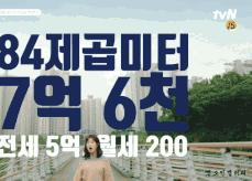 达子的春天韩剧国语版40集,达子的春天国语版全集下载