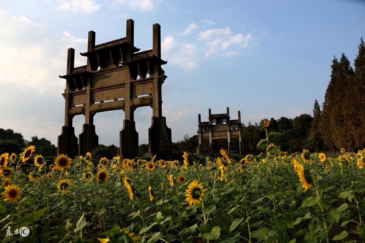 安徽黄山有什么迷人之处,安徽省风景优美的地方黄山