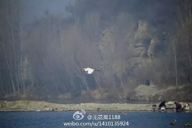 太太受委屈,太太委屈