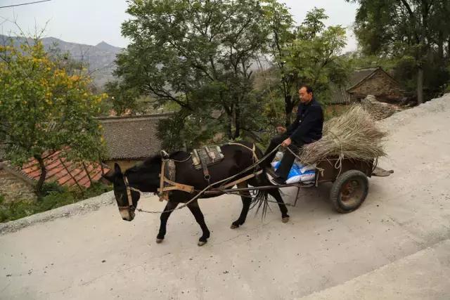 太太受委屈,太太委屈