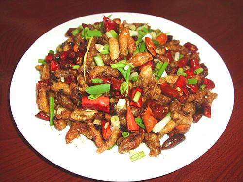 这些美味的虫子你敢吃吗,盘点可以吃的虫子