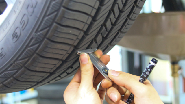 翼虎的10大忠告,翼虎详细介绍