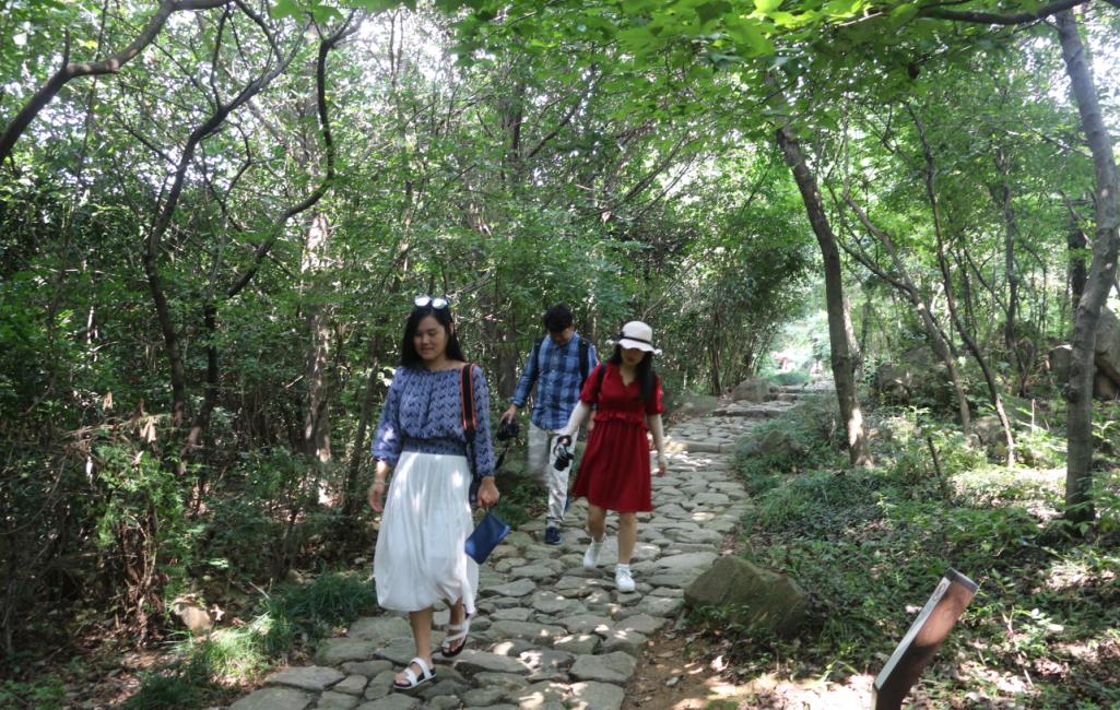 品山水美景房子,品农家菜