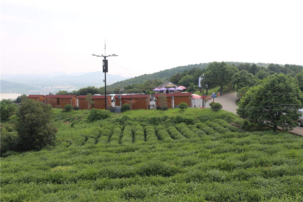 品山水美景房子,品农家菜