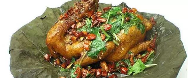 河北最全*鸡叫**手册！最销魂的“名鸡”都在这里了！