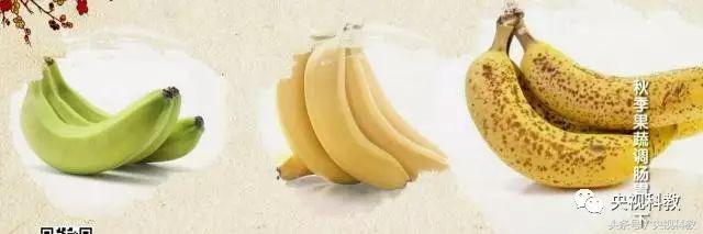 健康之路治便秘费力,秋天便秘吃什么最有效