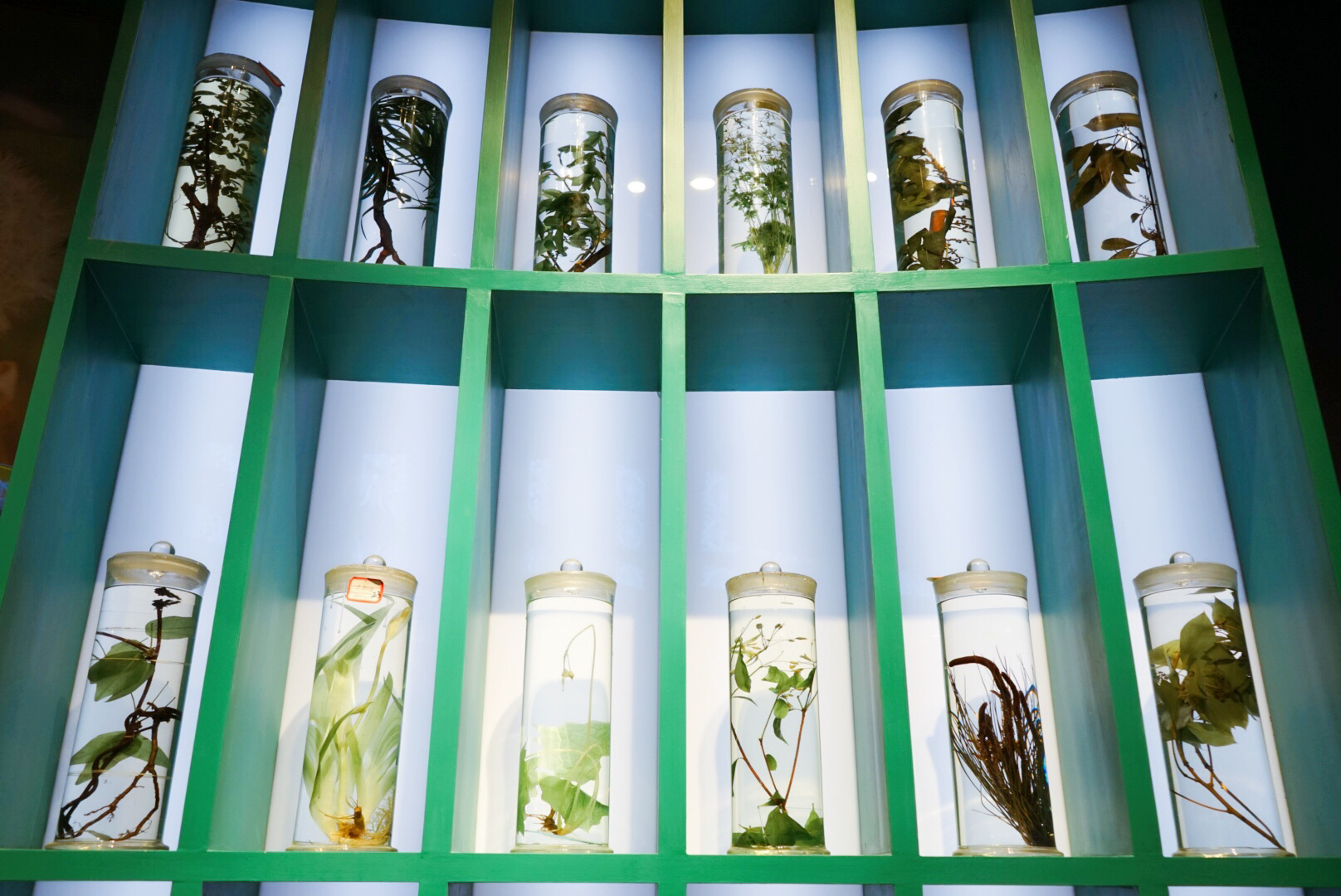 贵州有哪些独特的民族文化特色,浅谈贵州少数民族传统文化的发展