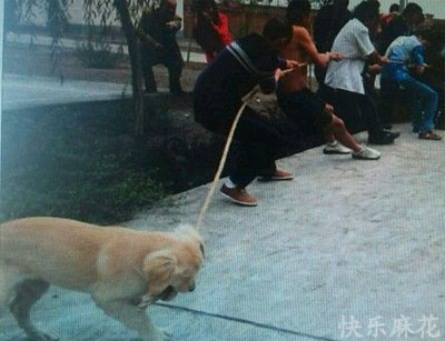 舔第二碗时,丈母娘拉我的手说:放这儿吧!等下我来洗