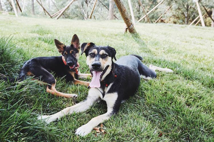 “列车运行前方:龙车站”我和TA打开了意外之门