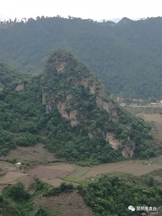 云南最神秘的六个野温泉，峡谷弥漫雾气小鱼咬脚，车底盘常常被刮