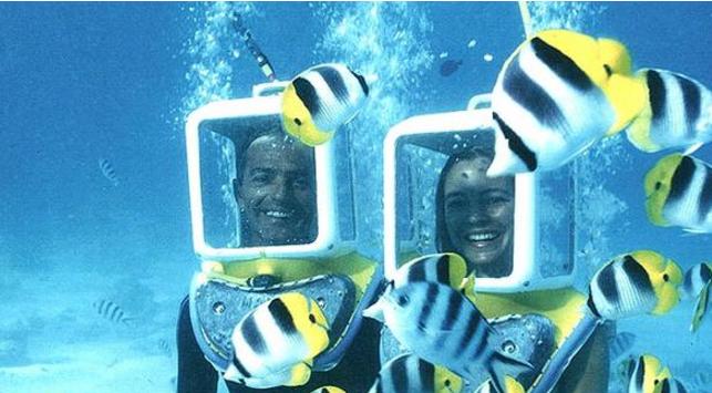 看完这本书你就明白了什么道理,看完这篇你就明白了