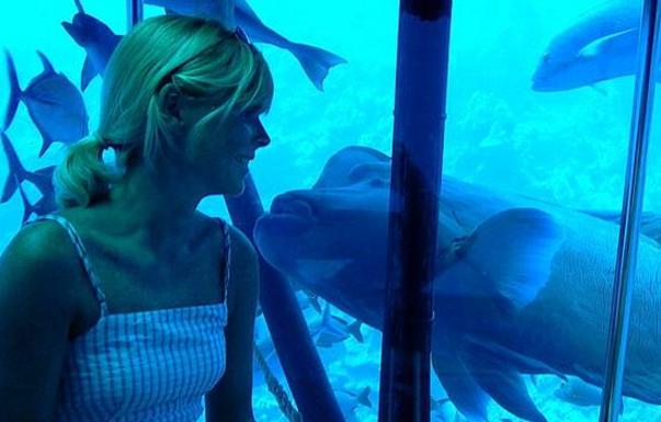 看完这本书你就明白了什么道理,看完这篇你就明白了