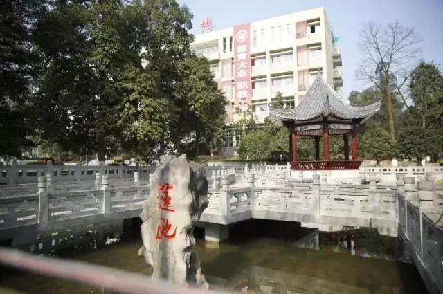 重庆十大职业学校有哪些,重庆十大职业院校