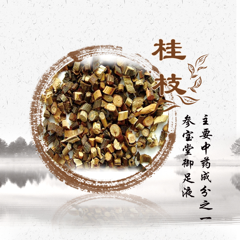 参宝堂御足抗菌液,参宝堂御足液功效成分