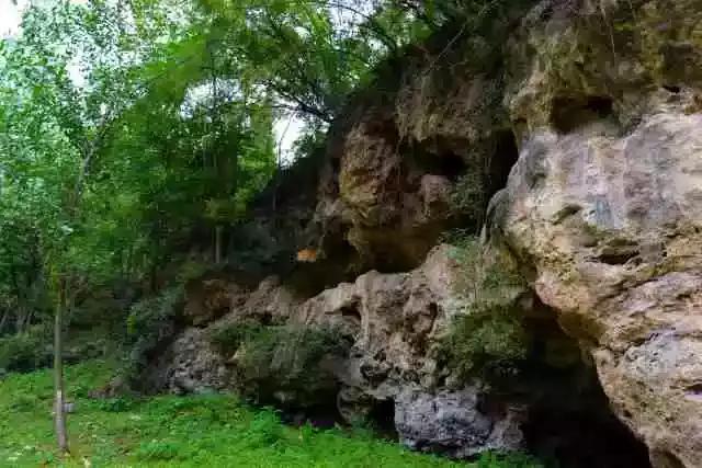 太太受委屈,太太委屈