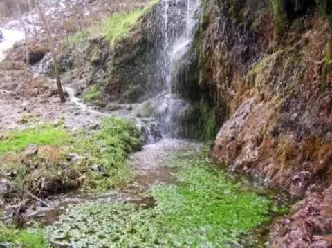 太太受委屈,太太委屈