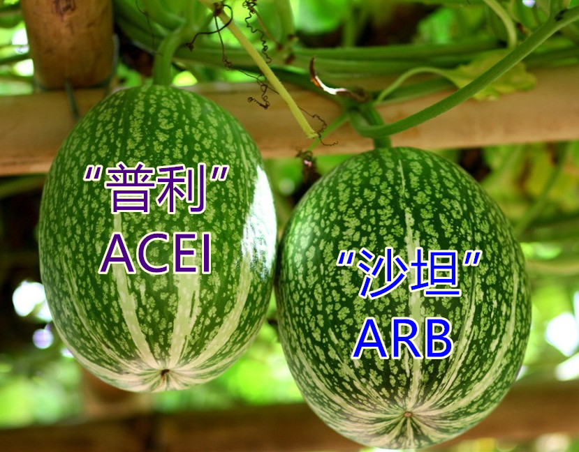 普利和沙坦哪个对肾更好,普利和沙坦类降压药能搭配使用吗