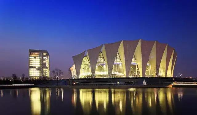 上海坐地铁直达的玩的地方,上海地铁直达花海