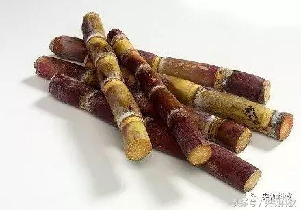 健康之路治便秘费力,秋天便秘吃什么最有效