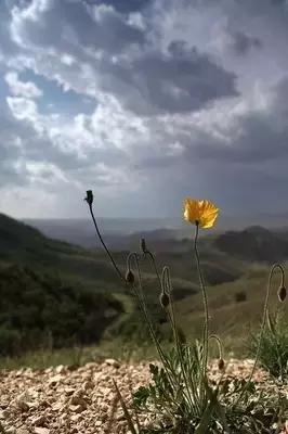 妈妈抗癌的路上辛苦了,妈妈别怕