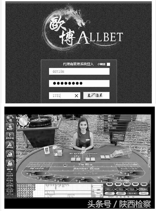 诈骗牵出杀人案,诈骗案牵出杀人案