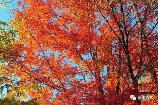 居游大事|金秋套票正式发售啦!这次两个套票任你选!