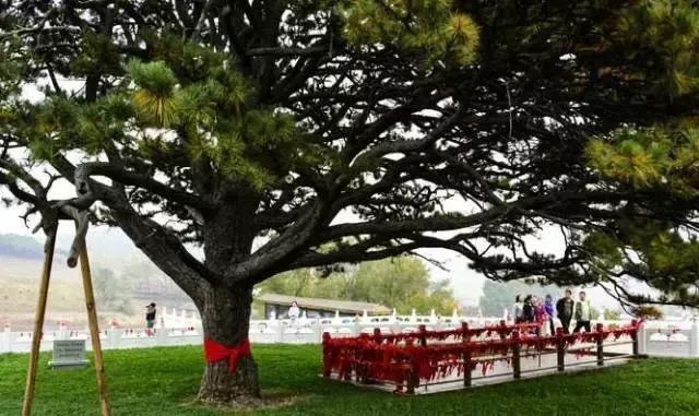 居游大事|金秋套票正式发售啦!这次两个套票任你选!